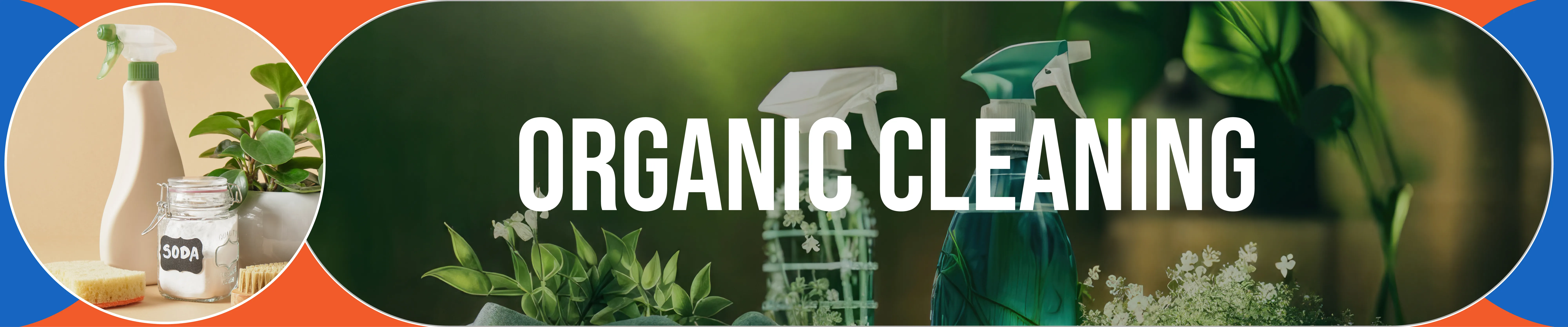 carpet cleaning in queens, carpet cleaning queens, carpet cleaners in queens, carpet cleaners in queens, commercial carpet cleaning, commercial carpet cleaning in queens, queens rug cleaners, rug cleaning services in queens, same day carpet cleaning, same day rug cleaning in queens