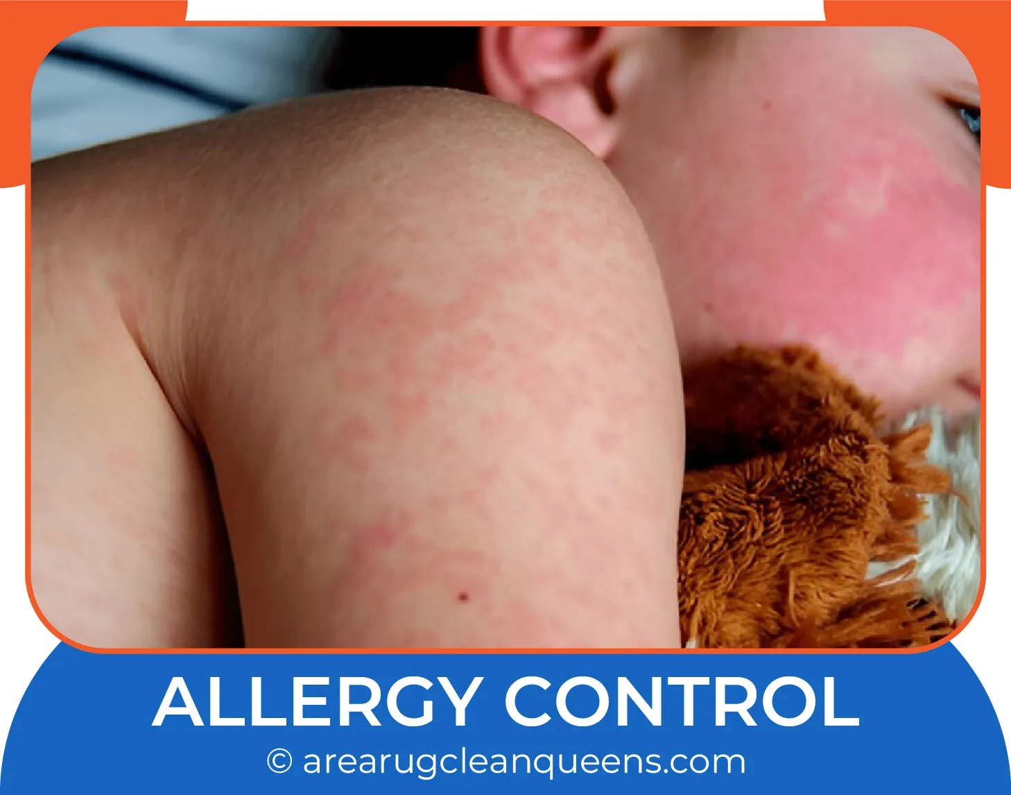 carpet cleaning in queens, carpet cleaning queens, carpet cleaners in queens, carpet cleaners in queens, commercial carpet cleaning, commercial carpet cleaning in queens, queens rug cleaners, rug cleaning services in queens, same day carpet cleaning, same day rug cleaning in queens